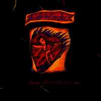 We Don't Do That Anymore_Sidewinders