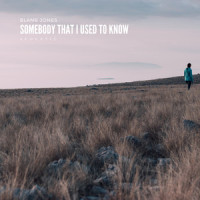 Somebody That I Used to Know_Blame Jones