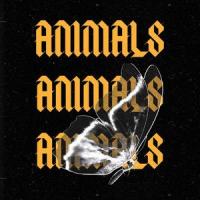 Animals_Lost Soul