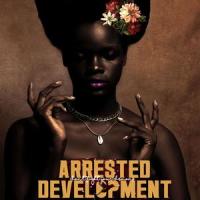 Amazing_Arrested Development