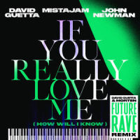 If You Really Love Me (How Will I Know)_David Guetta,MistaJam,John Newman