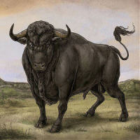 Methuselah_San Fermin