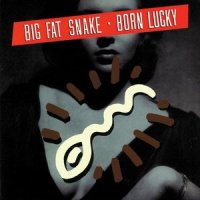 Today I Feel In Love With You Again_Big Fat Snake