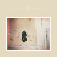 The Valley_Laura Marling