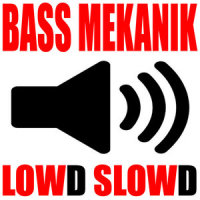 Future Melt_Bass Mekanik