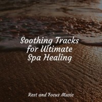 Twilight Mirage_Relaxation Music Guru,Wellness,Baby Sleep