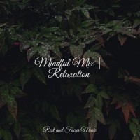 Peaceful Sounds_The Relaxation Principle,Musica Relaxante,Pink Noise