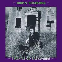 All I Wanna Do Is Fall in Love_Robyn Hitchcock