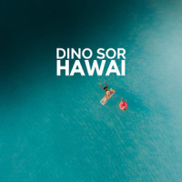 Hawai_Dino Sor