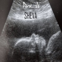 Le dernier paragraphe_Sheva