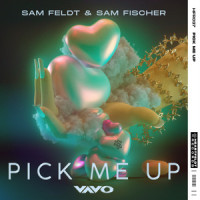 Pick Me Up_Sam Feldt,Sam Fischer,VAVO