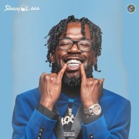 Overnight (feat. Erin K)_Sleepy Loco,Erin K
