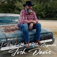 I Don't Miss You Anymore_Josh Davis
