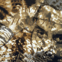 Yellow Balloon_Twin Shadow