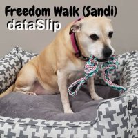 Freedom Walk(Sandi)_Dataslip,Brad Martin