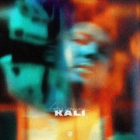 Занят делами_Kali