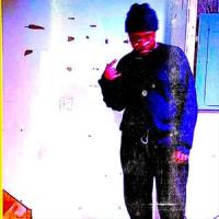 Like A Shore_Gliss