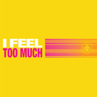 I Feel Too Much_Dance Yourself Clean