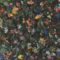 Colourblind_Winterbourne