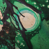 belong_slenderbodies