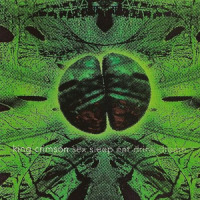 Sex, Sleep, Eat, Drink, Dream_King Crimson