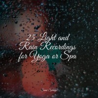 Thunder, Rains_Chillout Lounge,Spa,Dr. Meditation