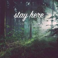 Stay Here_Carl Storm,LiQWYD