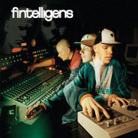 Kokemusten Summa_Fintelligens