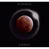 Part One - The Changing Man_Ray LaMontagne