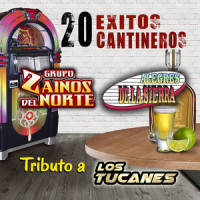 El Necio_Los Alegres De La Sierra