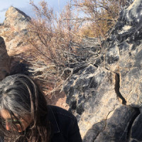 Gold Dust Woman_Julia Holter