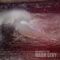 Momentum (feat. Derek Sherinian, Rene Mayr, Baryohai Swissa & Ido Maimon)_Naor Levy,Derek Sherinian,Rene Mayr,Baryohai Swissa,Ido Maimon