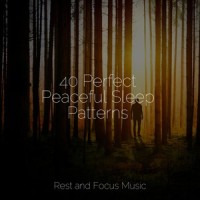 Pink Tulips_Ambient Music Therapy,Deep Sleep,Guided Meditation Music Zone