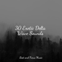 Rolling Dusk_Pink Noise,Wellness,Sounds of Nature White Noise for Mindfulness Meditation and Relaxation
