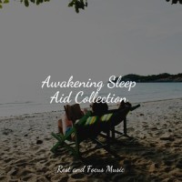 Here in Your Arms_Musique Zen Garden,Serenity Spa Music Relaxation,Pink Noise