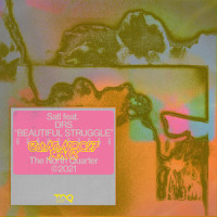 Beautiful Struggle_Satl,DRS