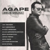 Saviour (feat. Mike Stern, Guy Bernfeld, Chad Lefkowits-Brown & Euan Leslie)_Jesús Molina,Mike Stern,Guy Bernfeld,Chad Lefkowits-Brown,Euan Leslie