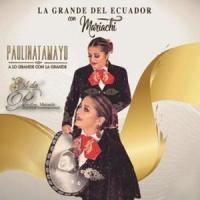 Como Voy a Olvidarte_Paulina Tamayo