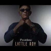 Pruebas_Little Roy