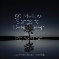 Serene Sounds_Pink Noise,Deep Sleep Brown Noise,Tranquility Spa Universe
