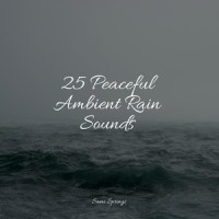 Droplets_Meditation Rain Sounds,Wellness,Yoga Soul