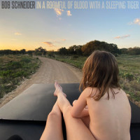 Boys You Like_Bob Schneider