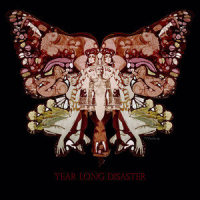 The Fool And You_Year Long Disaster