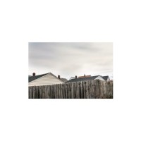 Dead Elm_Talons'