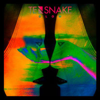 Feel Of Love_Tensnake,Jacques Lu Cont,Jamie Lidell