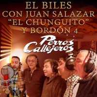 Perros Callejeros_El Biles,Los Chunguitos,Bordón 4,Juan Salazar El Chunguito