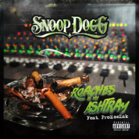 Roaches In My Ashtray(feat. ProHoeZak)_Snoop Dogg,ProHoeZak