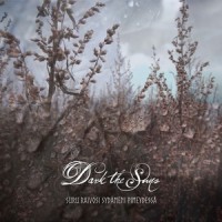 Shadows in the Void_Dark the Suns