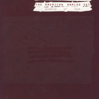 Come Home Baby Julie, Come Home_The American Analog Set