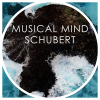 Schubert: Ständchen, D.889 - Transcription: Franz Liszt: Searle 558 No.9 "Horch! horch!..." (Transcription: Franz Liszt: Searle 558)_Yevgeny Kissin
